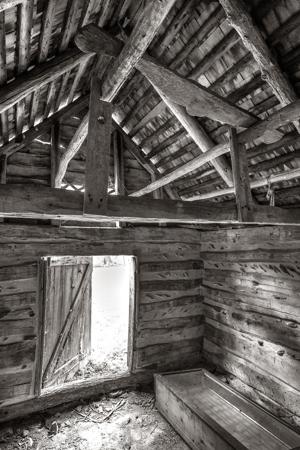 Interior roof and framing